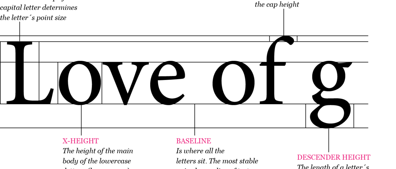 Typography - The Anatomy of Letters