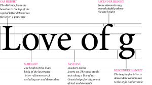 Typography - The Anatomy of Letters