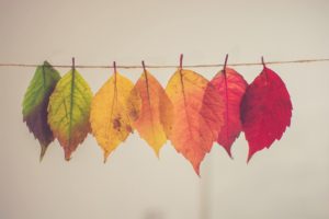 Color Harmony by Chris Lawton on Unsplash